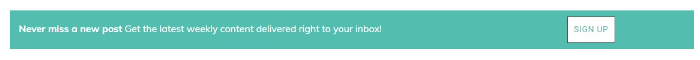 screenshot of a email form with styling for a green bar