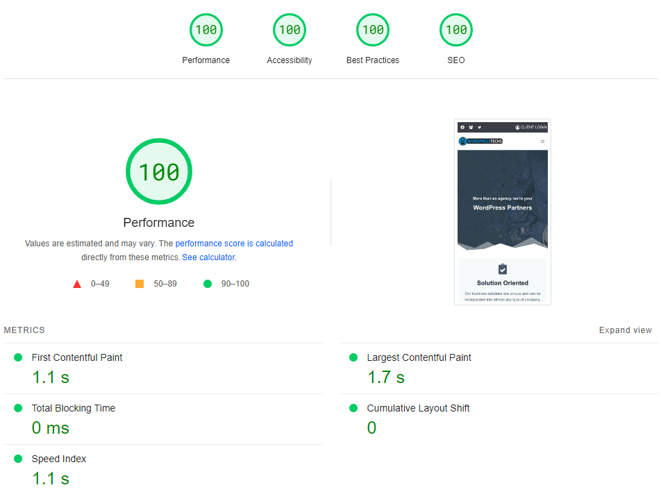 screenshot of google pagespeed insights scan results which detail a score of 100 percent