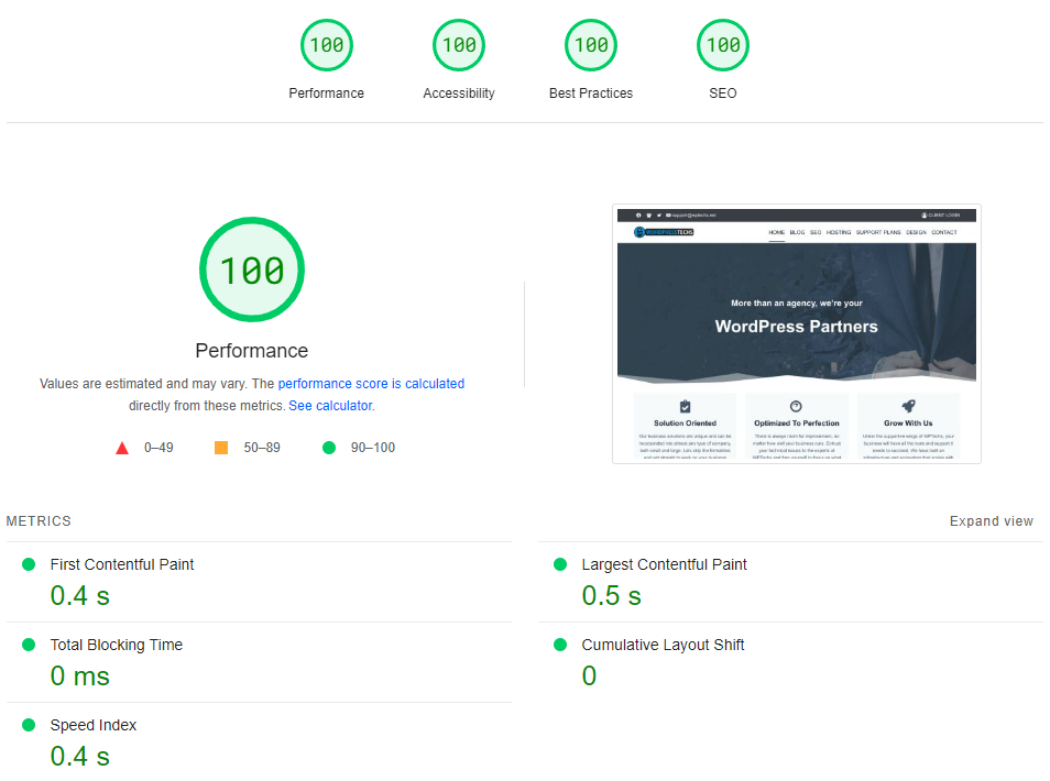 screenshot of google pagespeed insights scan results which detail a score of 100 percent