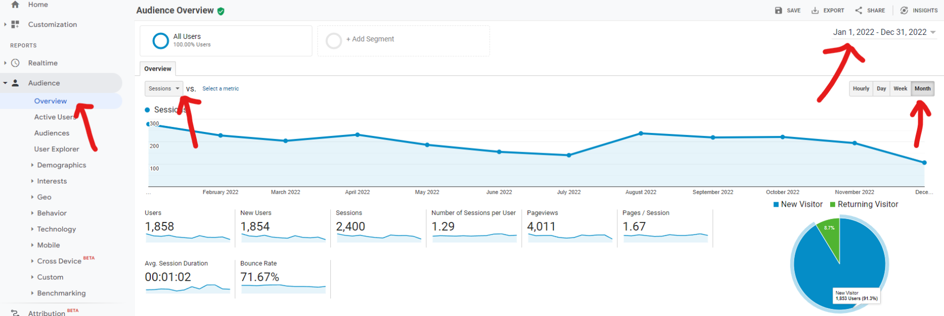 google analytics general audience report